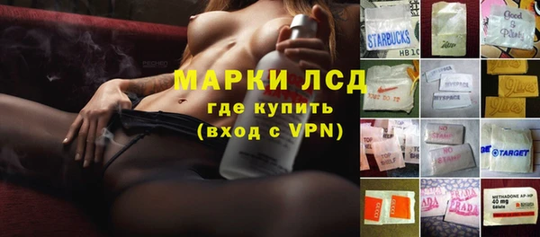 стаф Нея