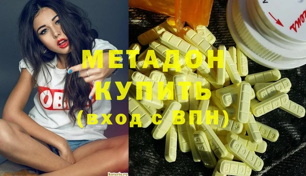 стаф Алзамай