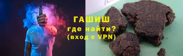 стаф Алзамай