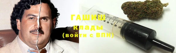 стаф Алзамай