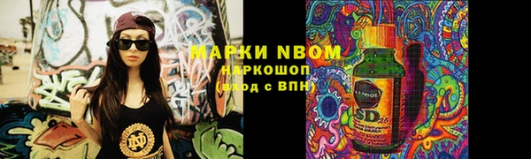стаф Алзамай