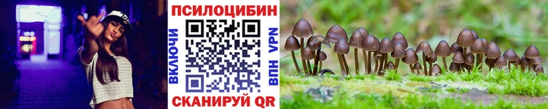 Псилоцибиновые грибы Cubensis  blacksprut вход  Тара 