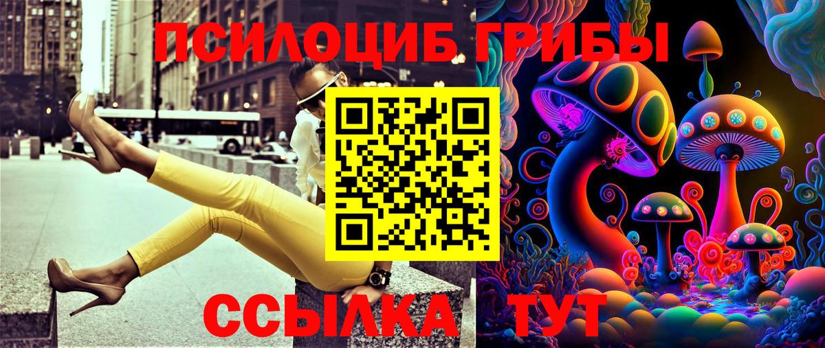 Тара  Псилоцибиновые грибы прущие грибы  Вход с VPN 