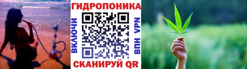 наркота Тара Бошки марихуана White Widow